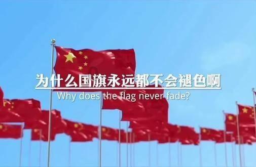 迷雾求生