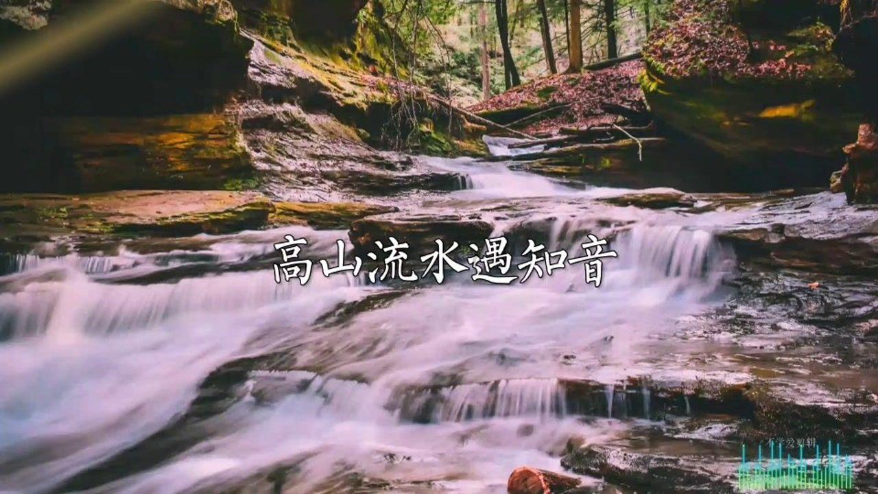深中华A9涨停